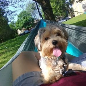 Meet your Posher, April